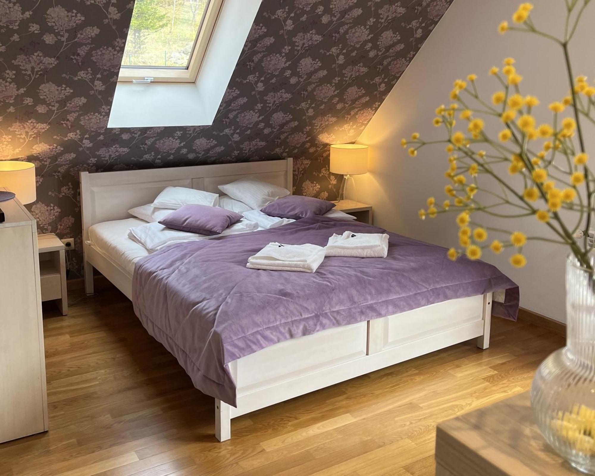 Apartamety I Pokoje Goscinne Na Jaskolczej Świeradów-Zdrój 外观 照片