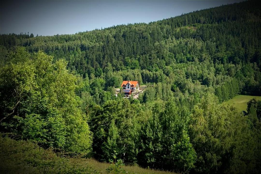 Apartamety I Pokoje Goscinne Na Jaskolczej Świeradów-Zdrój 外观 照片